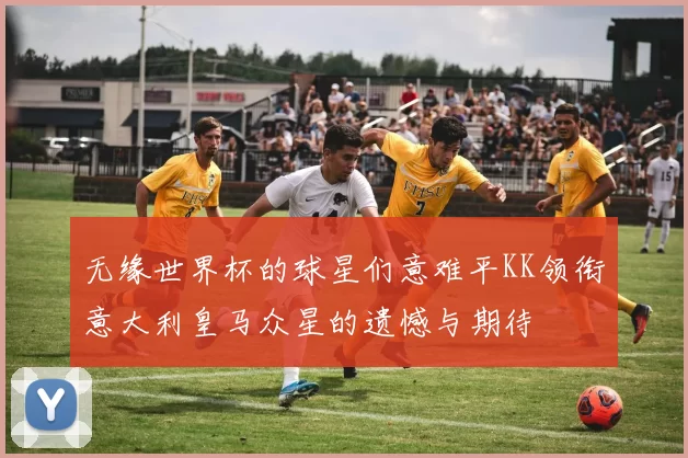 无缘世界杯的球星们意难平KK领衔意大利皇马众星的遗憾与期待